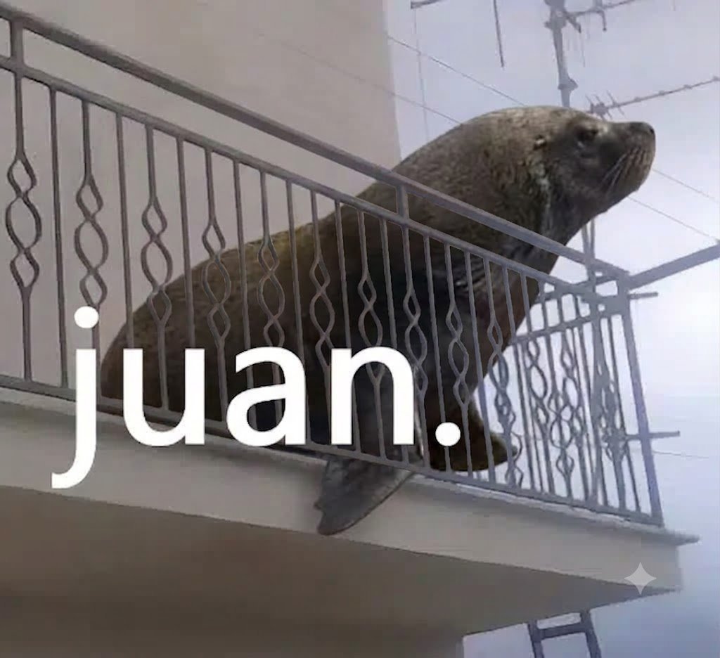 JUAN⁠
