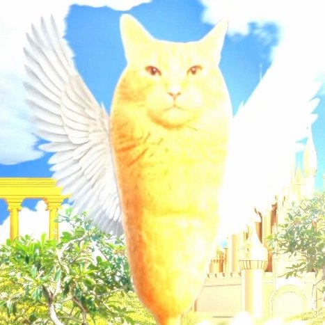 Corndogcat