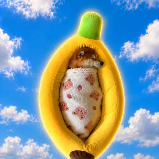 BDOGE