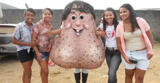 Testículo