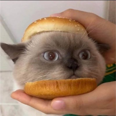 BURGERCAT