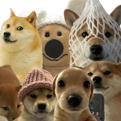 pets