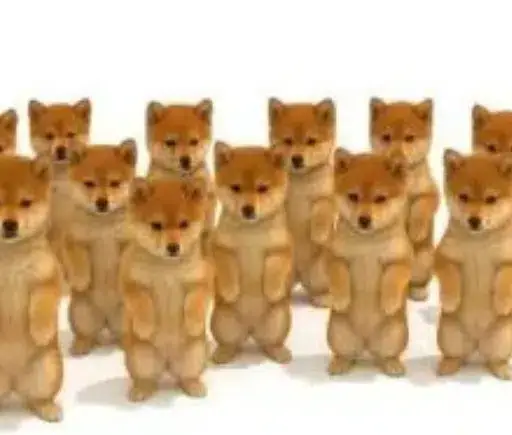 SHIBES