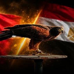 Shawk