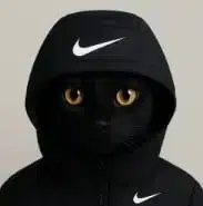 YN