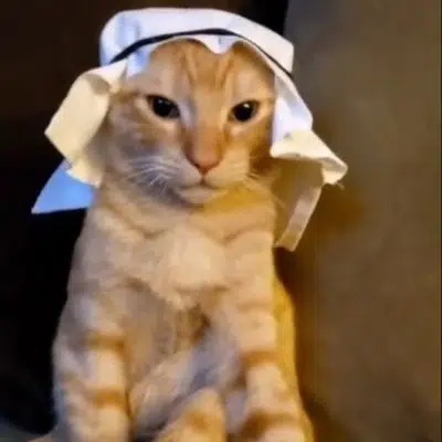 HABIBI