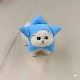 GRAMCAT