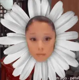 Petal