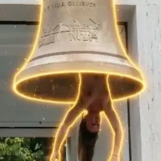 BIB
