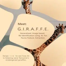 G.I.R.A.F.F.E