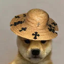 WIF