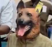 DTO