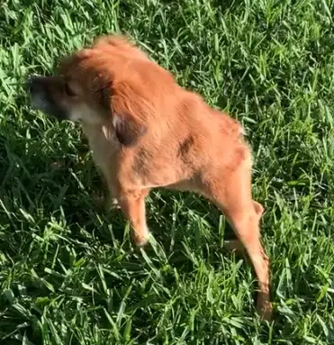 TILLY