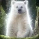 Kermode