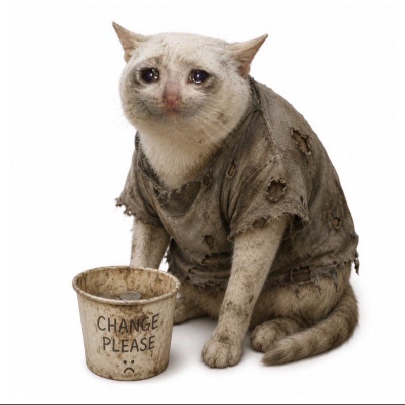 CASHLESS