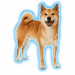 DOGGO logo