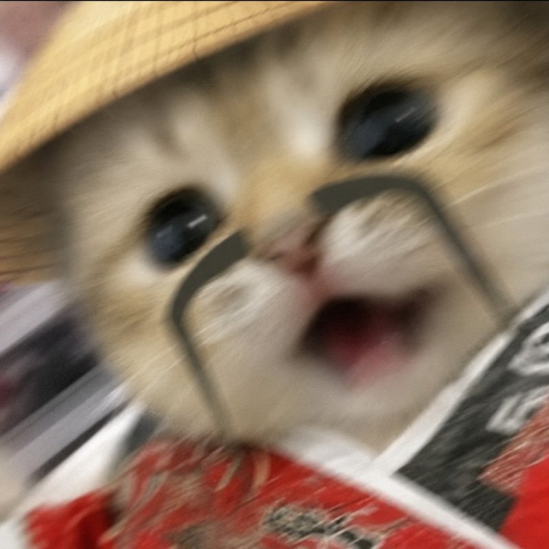 Mao Mao