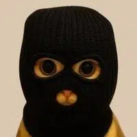 CrimeCat