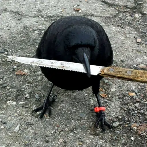 crow rn — recently traded by Kay The Doc on Solana