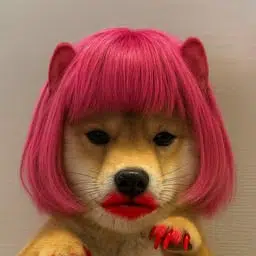 transinu