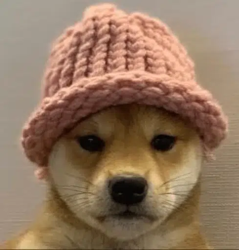 OgWif