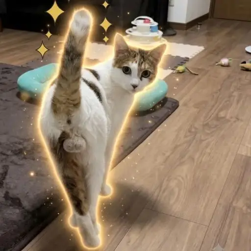 ハク