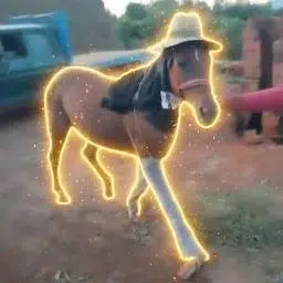 juan