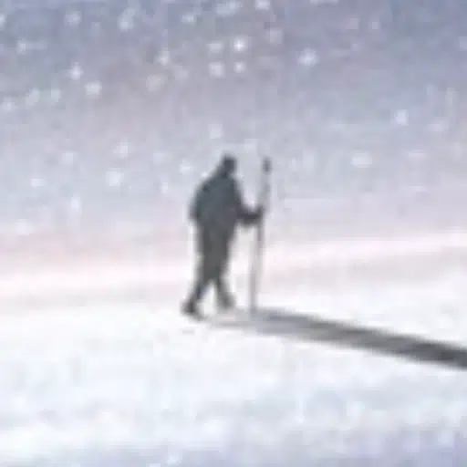 Voyager