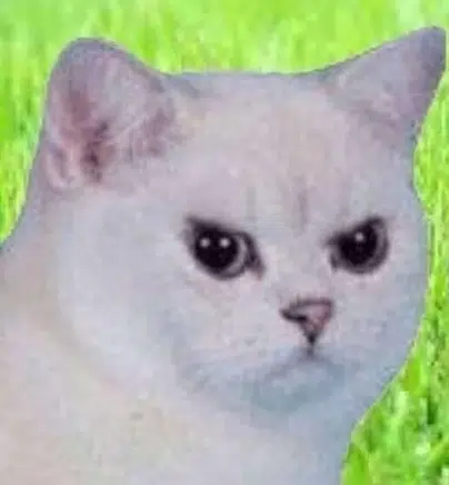 Angry