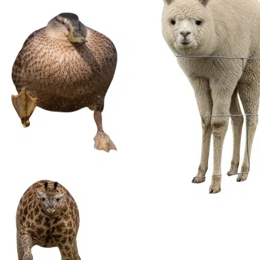 SSA