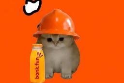 Bonkcat