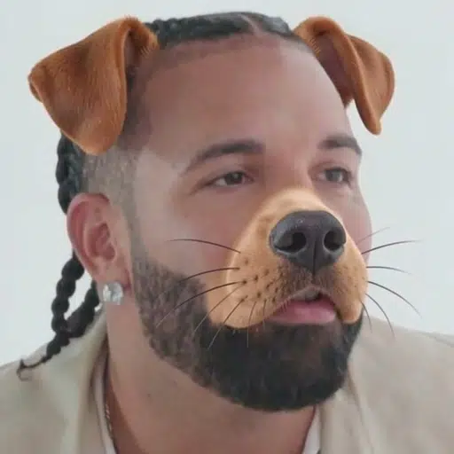 Bark