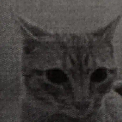 KEVIN