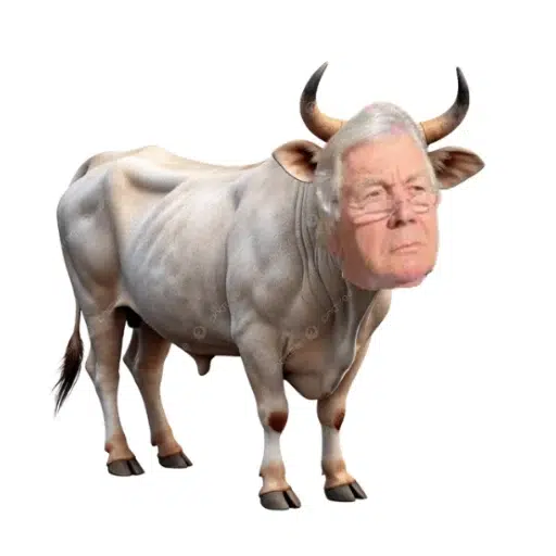 Richard — The Boomer Bull Solana token traded by KOLs