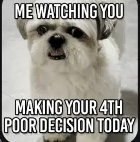 MEME