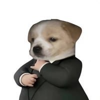 suit