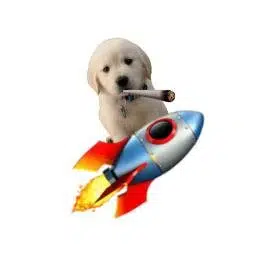 ‎boostdog