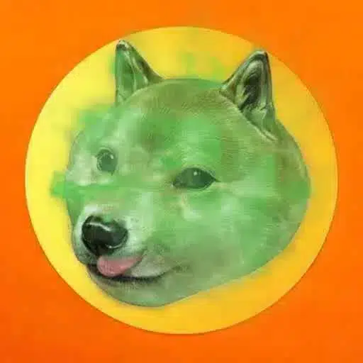 Gasinu