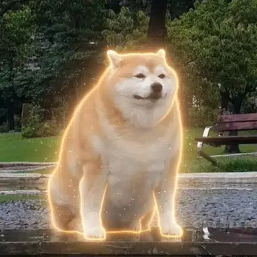 Moja
