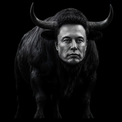 ELON