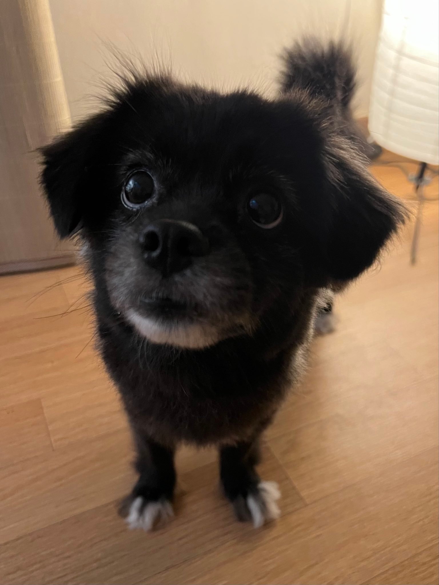 Danbi
