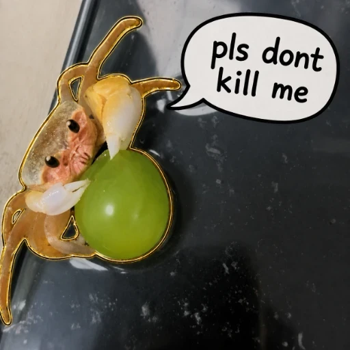 KILL