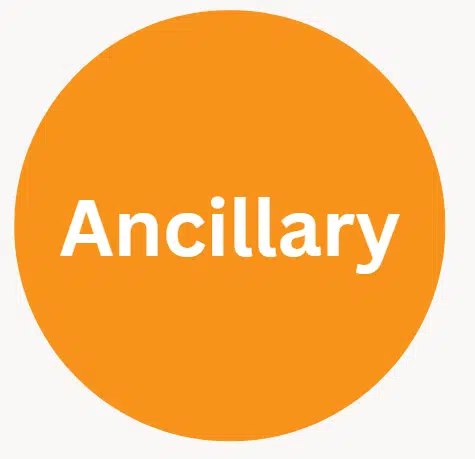 ANCILLARY