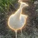 Sugar