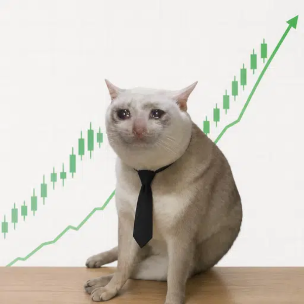 STOCKCAT logo