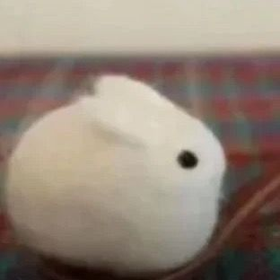 Bunnia