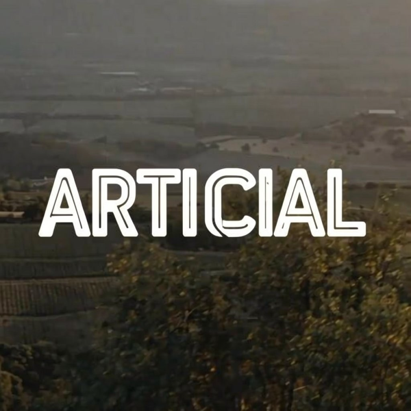 ARTIFICIAL