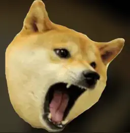 shibpost