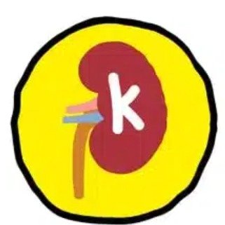 Kidney