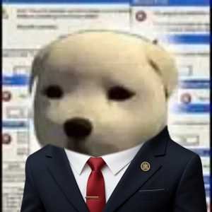 .gov